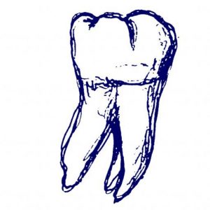 Gestaltung Icon Zahnarztpraxis Bittrich